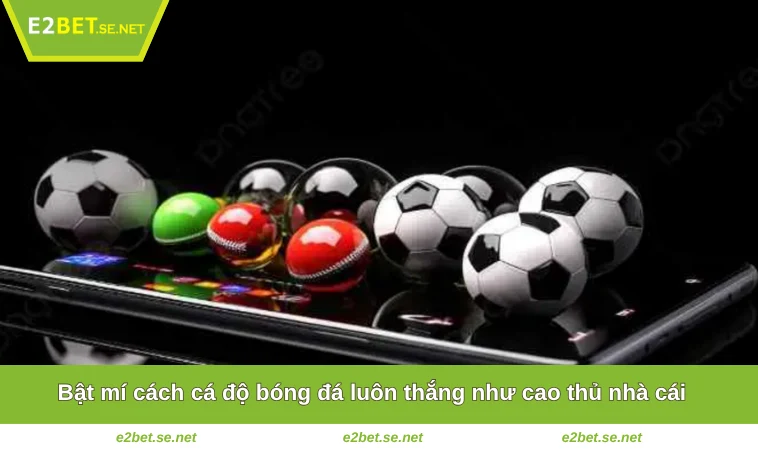 Cách Cá Độ Bóng Đá Luôn Thắng - 4 Mẹo Hay Nên Áp Dụng 1 Bật mí cách cá độ bóng đá luôn thắng như cao thủ nhà cái